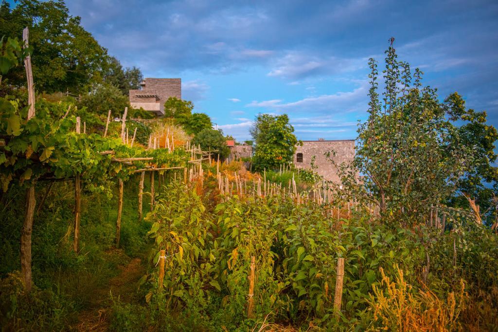 Agriturismo Mare E Monti Agerola Extérieur photo