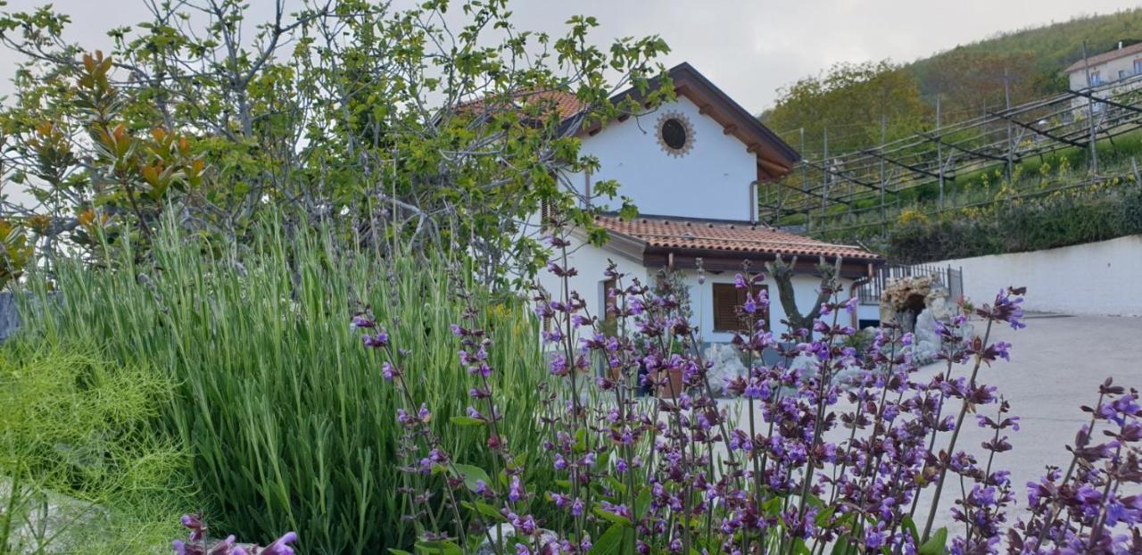 Agriturismo Mare E Monti Agerola Extérieur photo